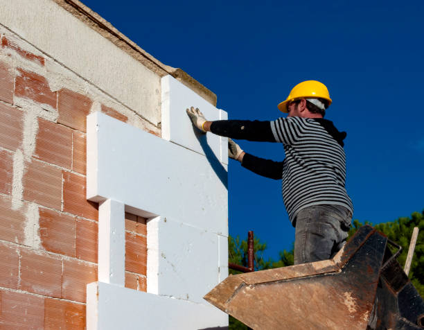 Best Home Insulation Services  in Bald Kno, AR