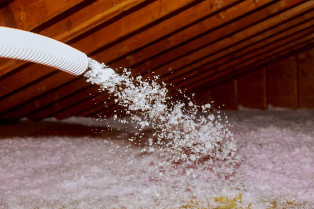 Best Insulation for New Construction  in Bald Kno, AR
