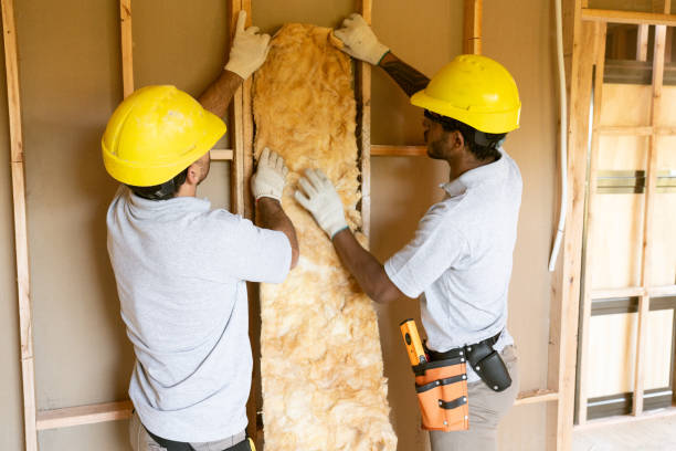 Best Spray Foam Insulation  in Bald Kno, AR