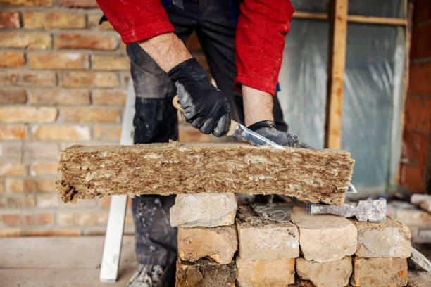 Best Home Insulation Services  in Bald Kno, AR