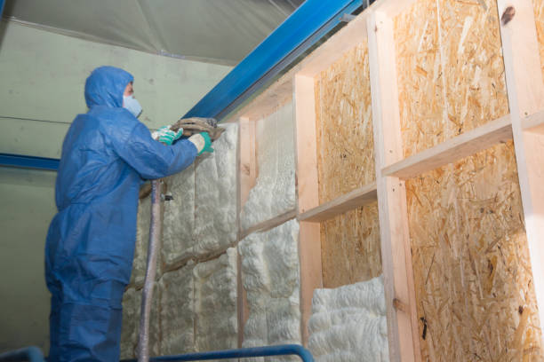 Best Insulation Repair Services  in Bald Kno, AR