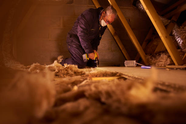Best Fiberglass Insulation  in Bald Kno, AR